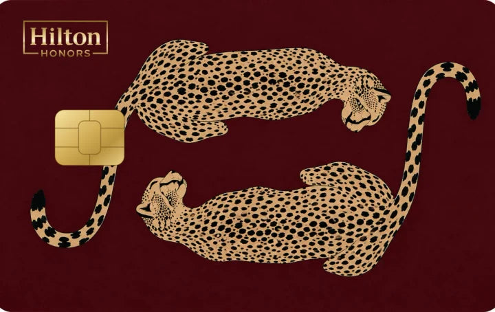 Hilton Cheetah